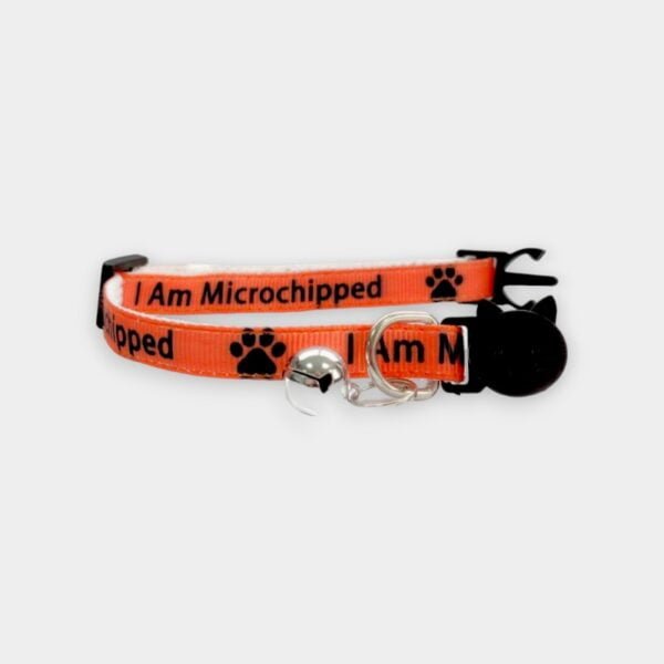 'I Am Microchipped' Cat Collar - Orange
