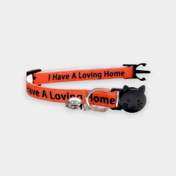 'I Have A loving Home' Cat Collar - Orange