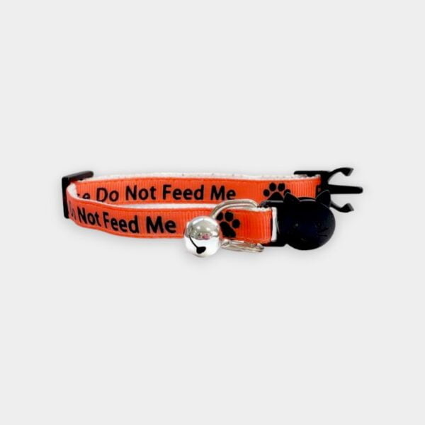 'Please Do Not Feed Me' Cat Collar - Orange